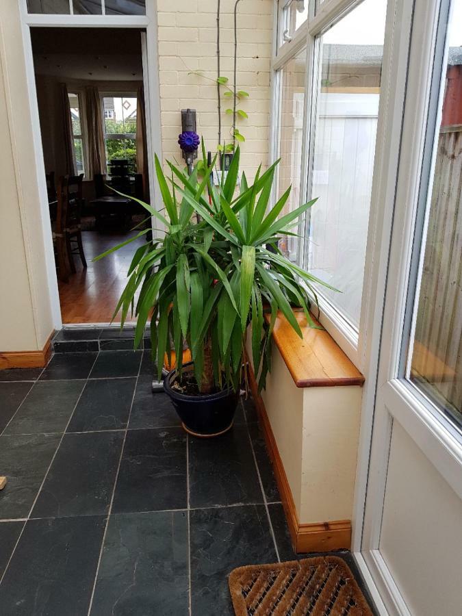 Hamilton House Villa Exmouth Esterno foto